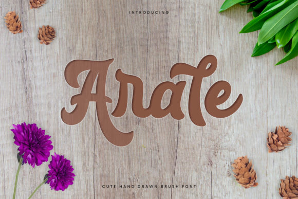 Arale: A Handwritten Font for Digital Design