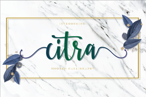 Citra Font: A Designer’s Guide to Elegant Script Typography