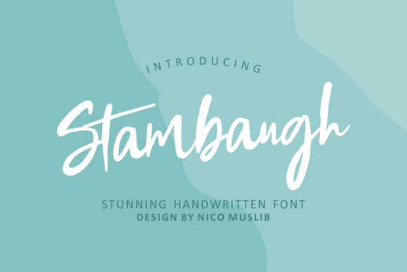 Stambaugh: A Handwritten Font for Modern Campaigns
