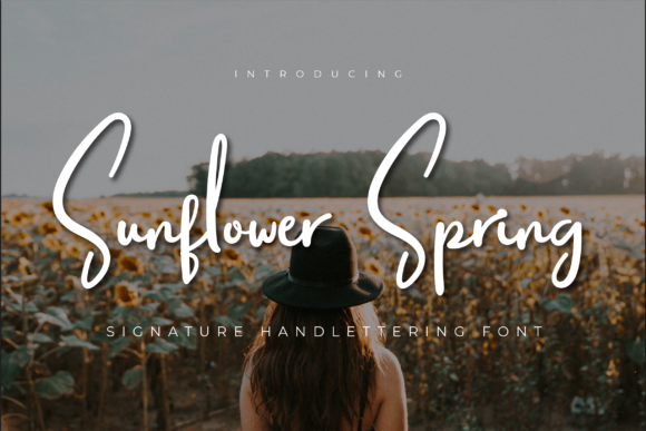 Sunflower Spring: A Handwritten Font for Editorial Grace